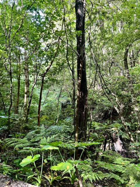 画像に alt 属性が指定されていません。ファイル名: .jpg